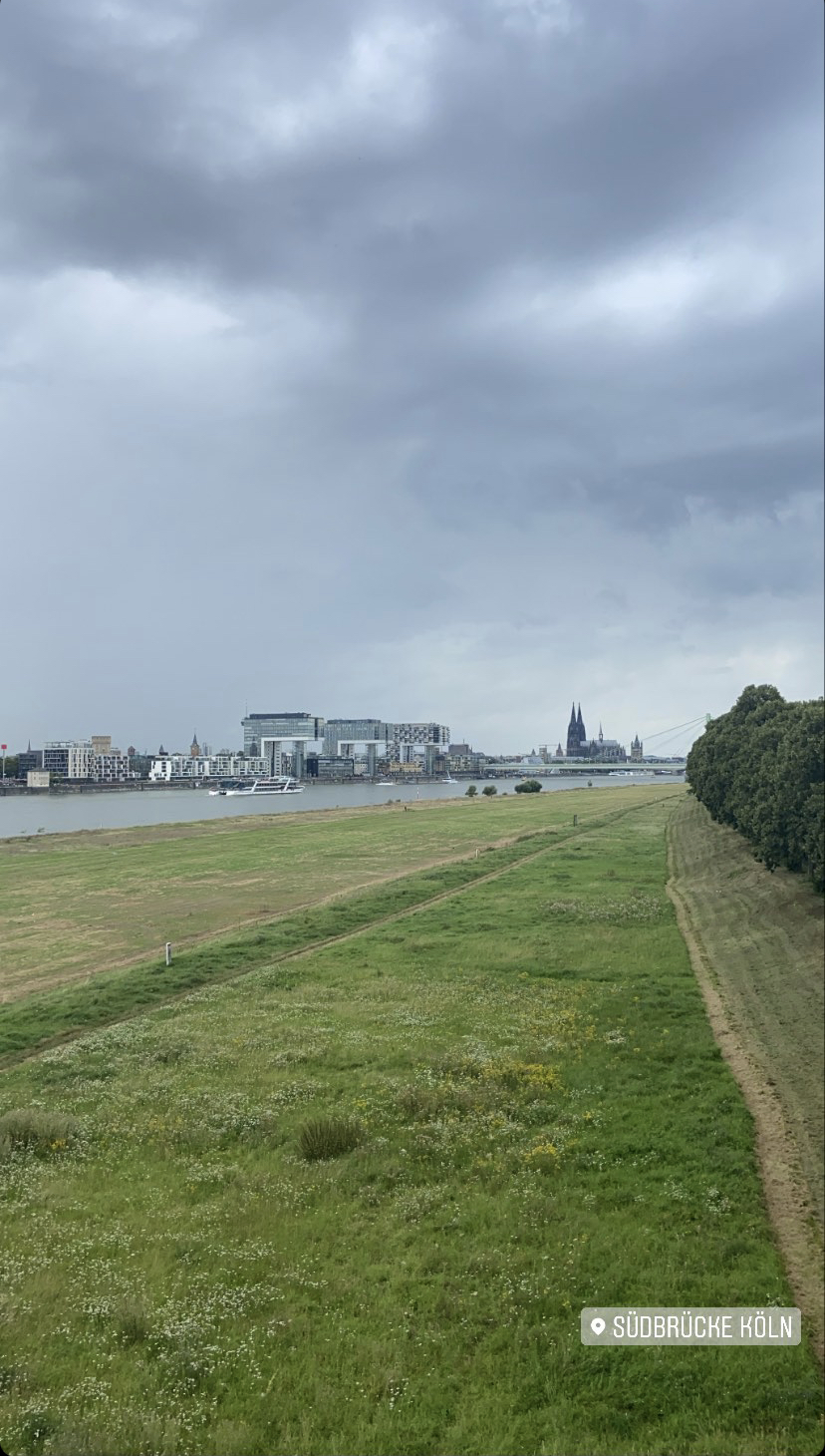 Kölner Rhein Blick auf die Kranhäuser