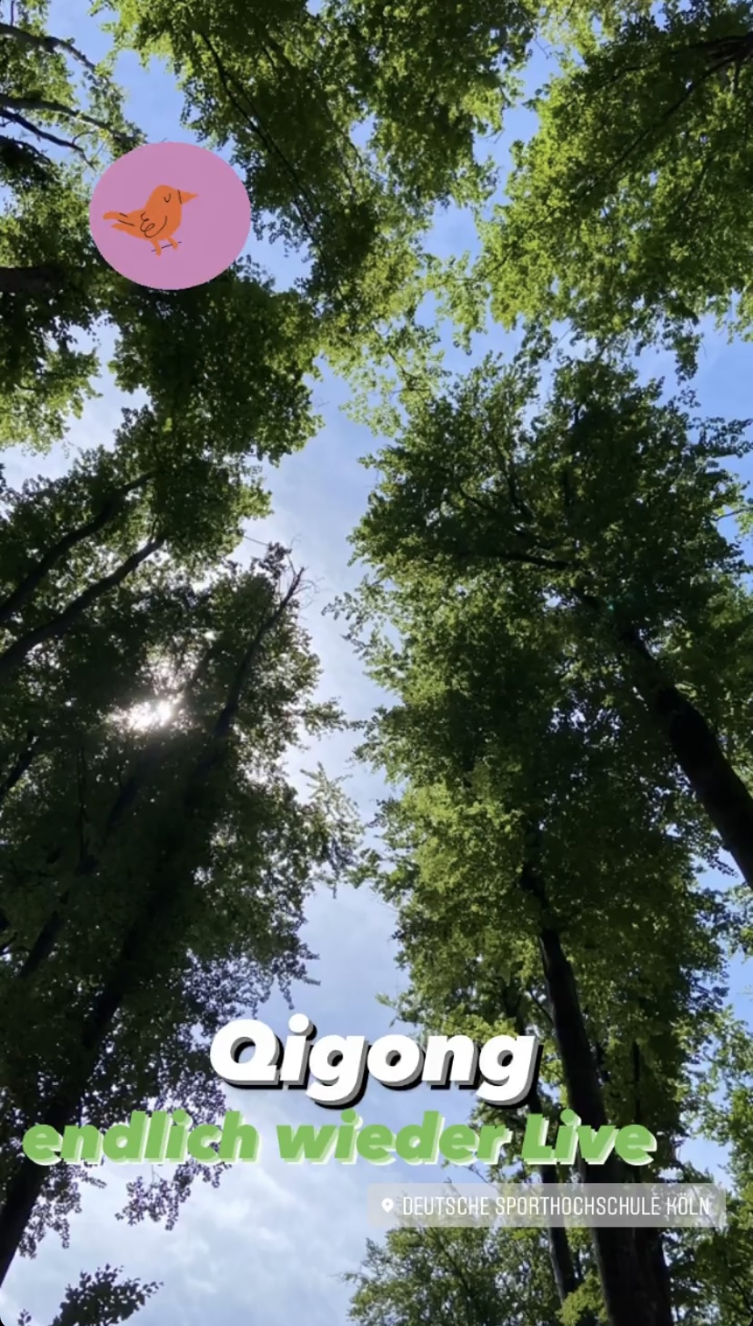 Baumkronen und blauer Himmel