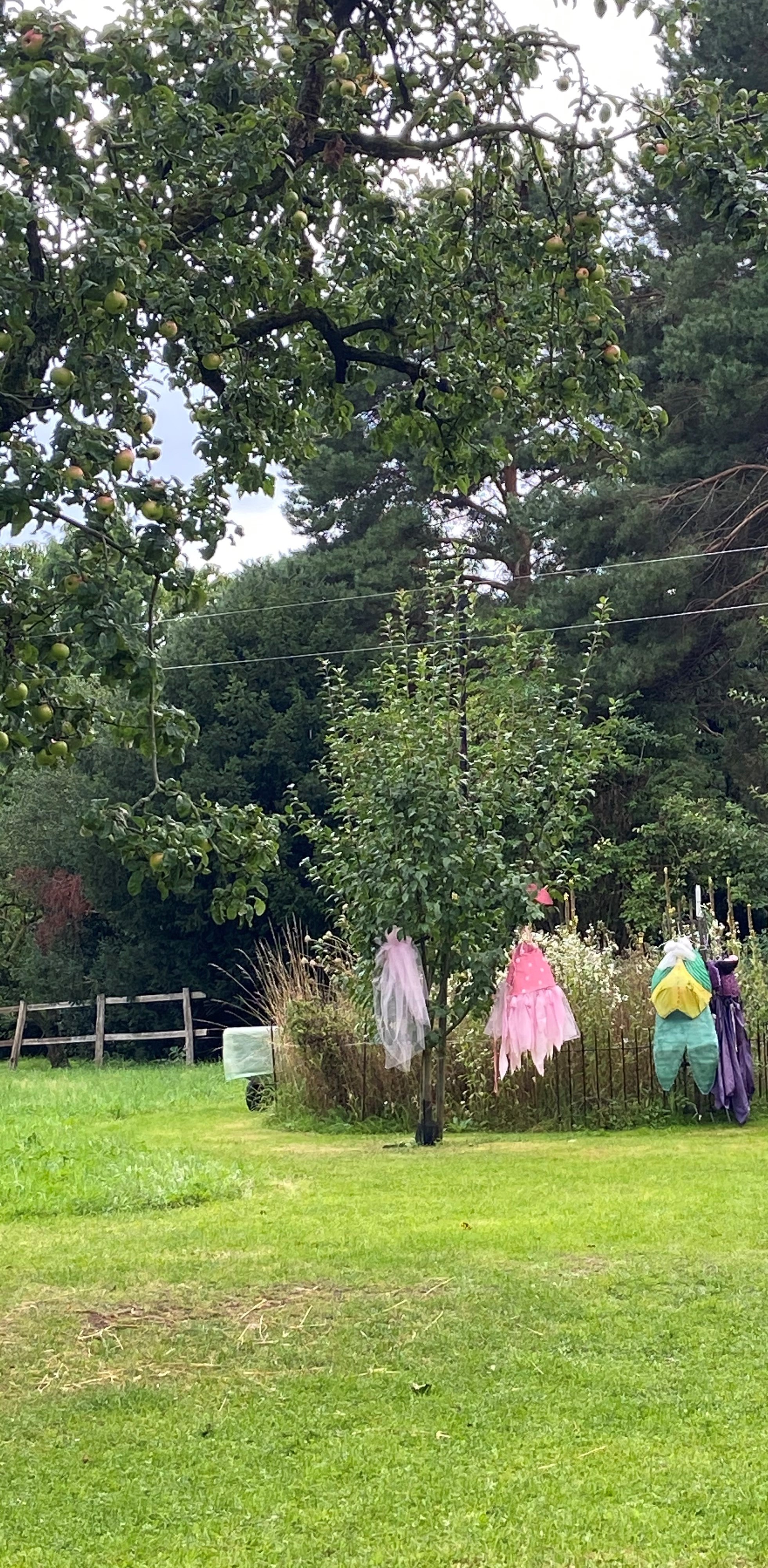 Theaterkostüme Wiese Apfelbaum